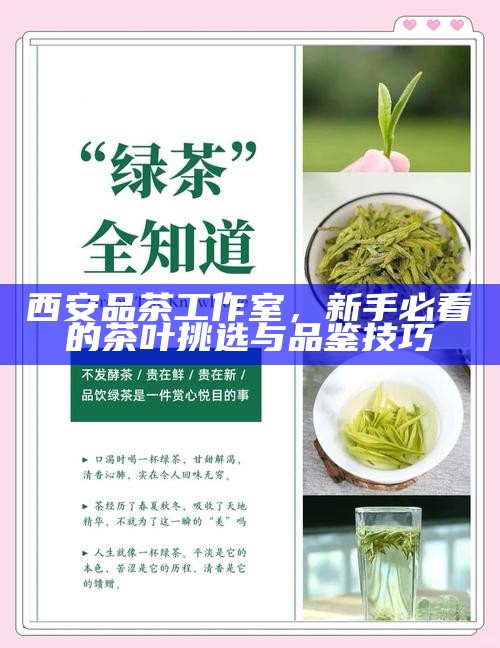 西安品茶工作室，新手必看的茶叶挑选与品鉴技巧