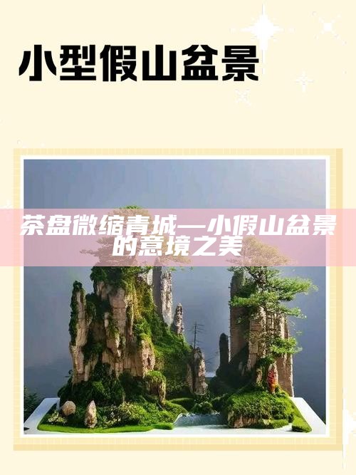 茶盘微缩青城—小假山盆景的意境之美