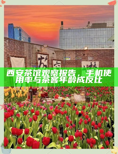 西安茶馆观察报告，手机使用率与茶客年龄成反比